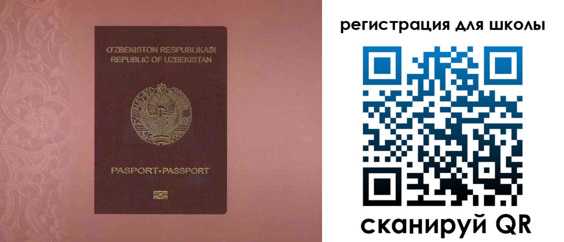 прописка для школы в Лыткарино