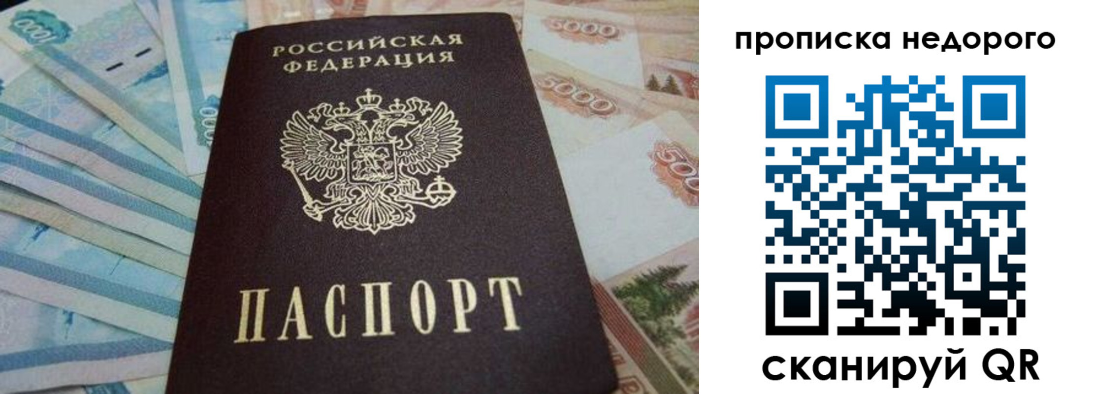 временная регистрация поиск в Лыткарино